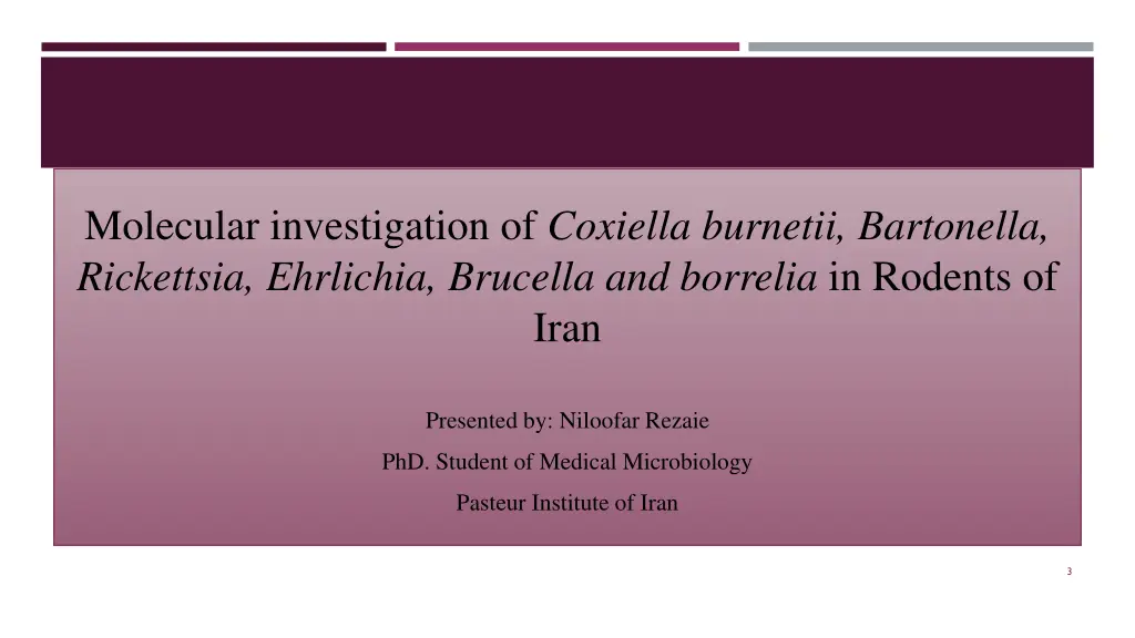 molecular investigation of coxiella burnetii