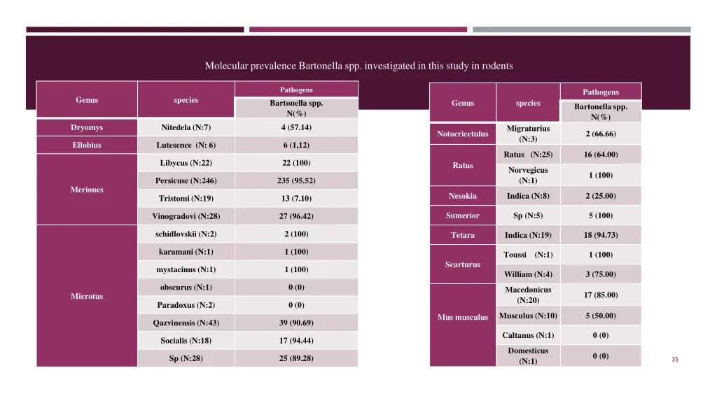 molecular prevalence bartonella spp investigated