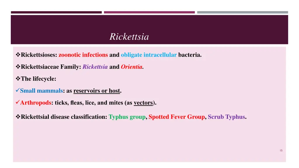 rickettsia