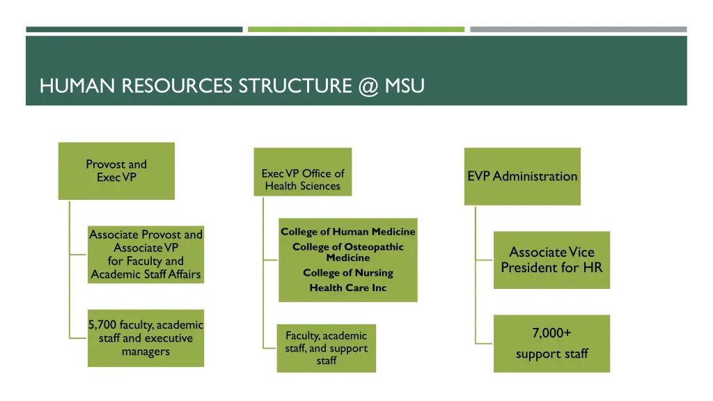 human resources structure @ msu