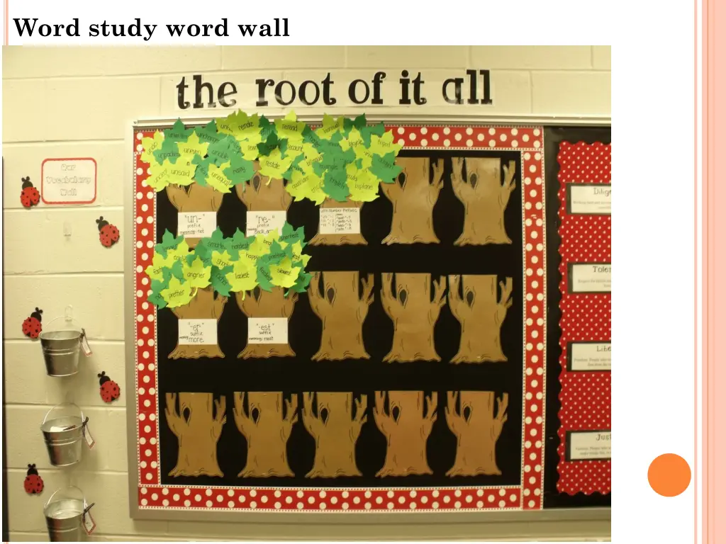 word study word wall