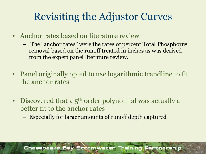 revisiting the adjustor curves