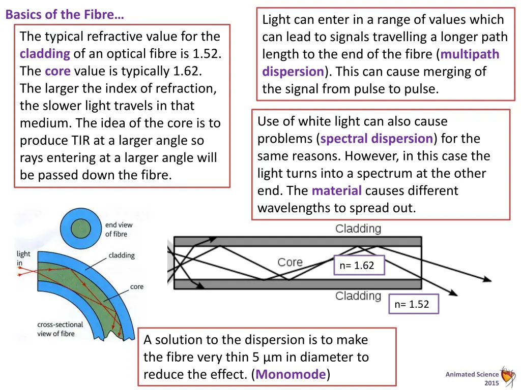 basics of the fibre