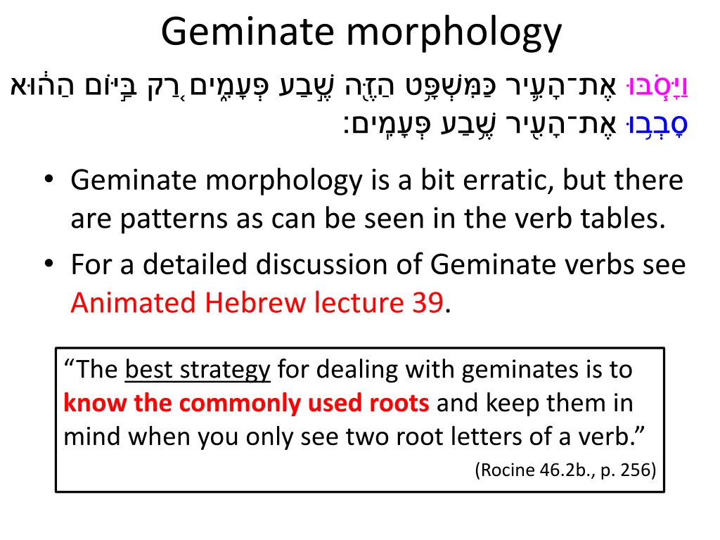 geminate morphology 1