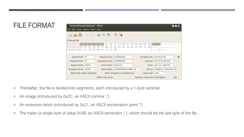 file file format format