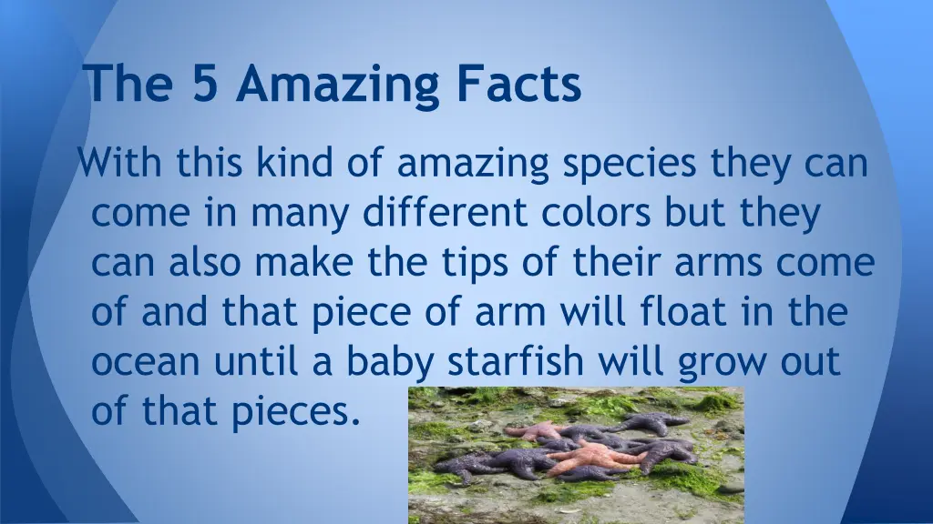 the 5 amazing facts