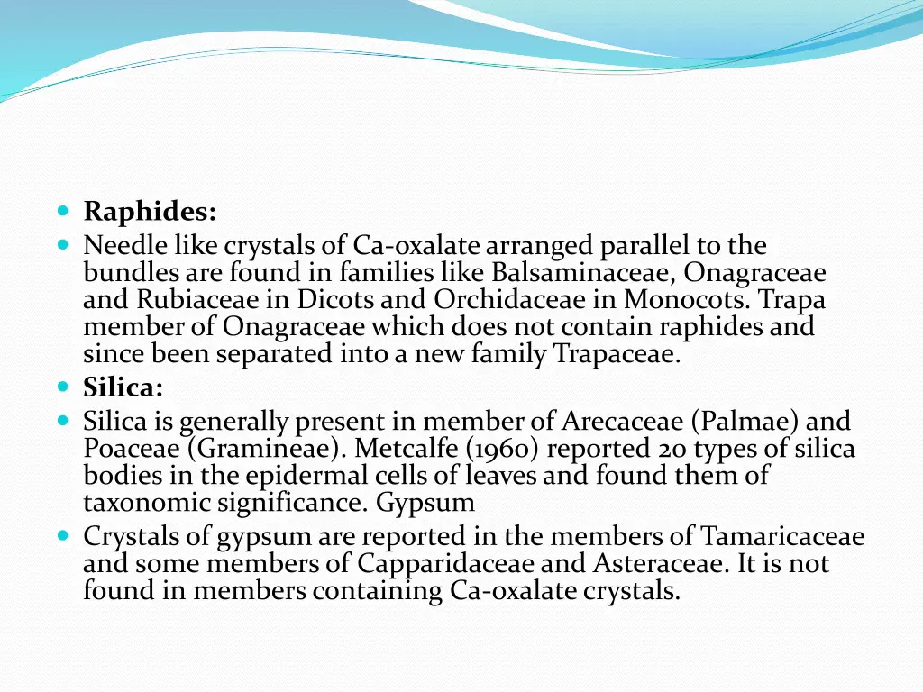 raphides needle like crystals of ca oxalate