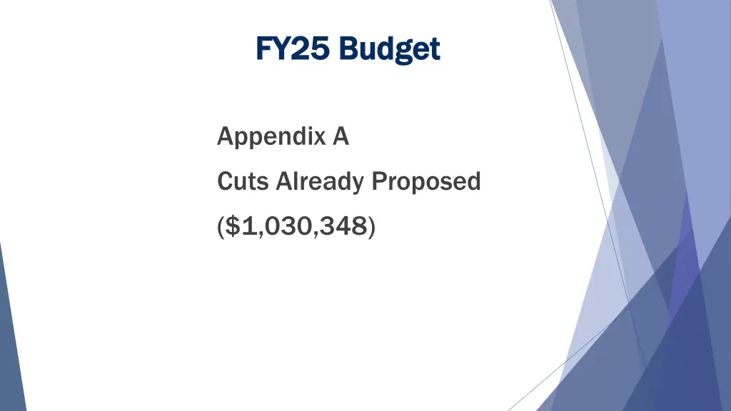 fy25 budget fy25 budget 3