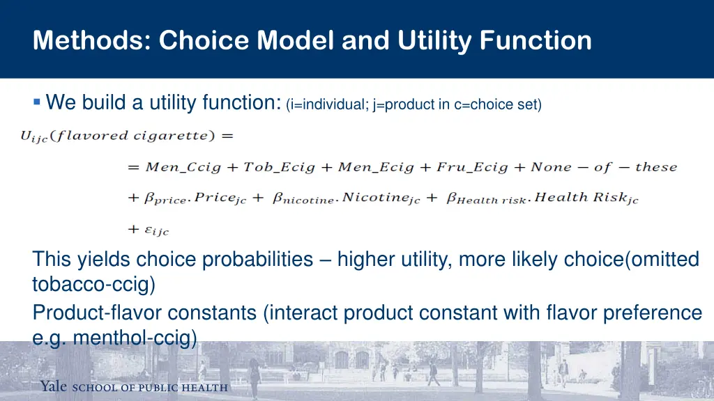 methods choice model and utility function