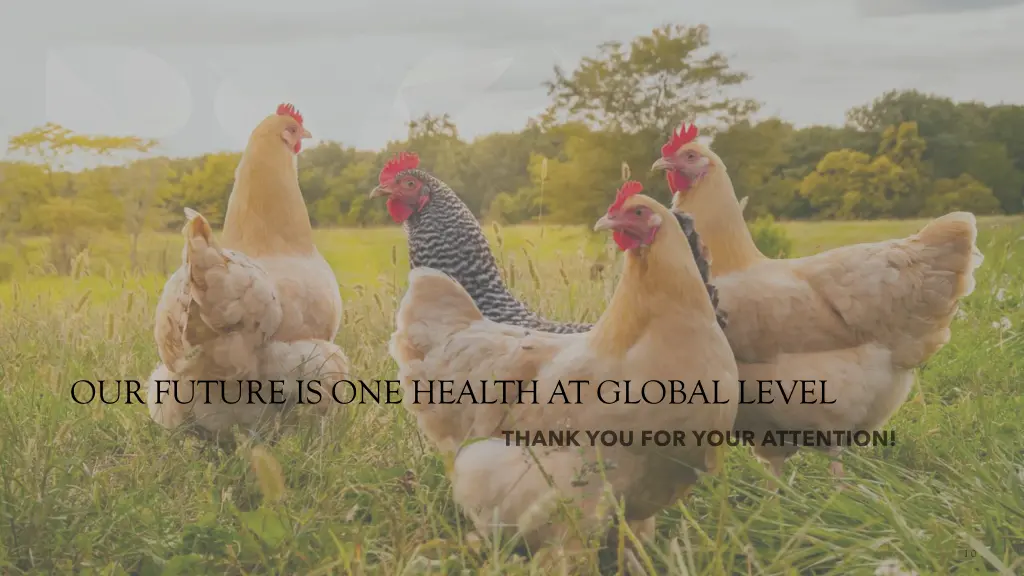 our future is one health at global level