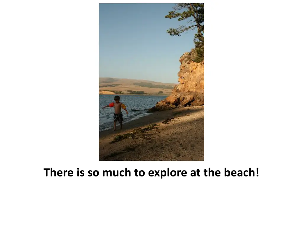 there is so much to explore at the beach