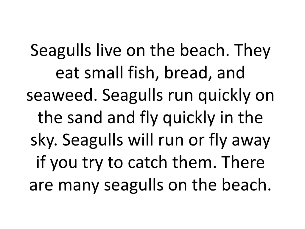 seagulls live on the beach they eat small fish