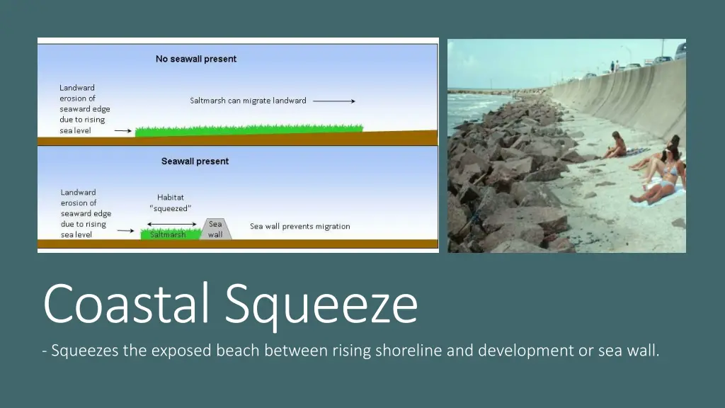 coastal squeeze squeezes the exposed beach