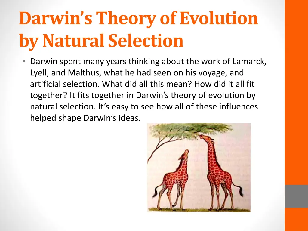 darwin s theory of evolution by natural selection