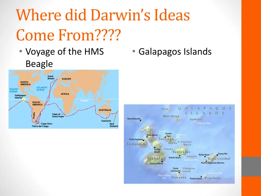 where did darwin s ideas come from voyage