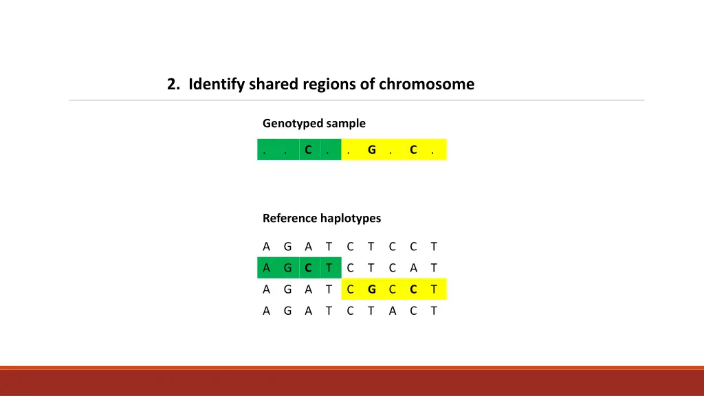 2 identify shared regions of chromosome