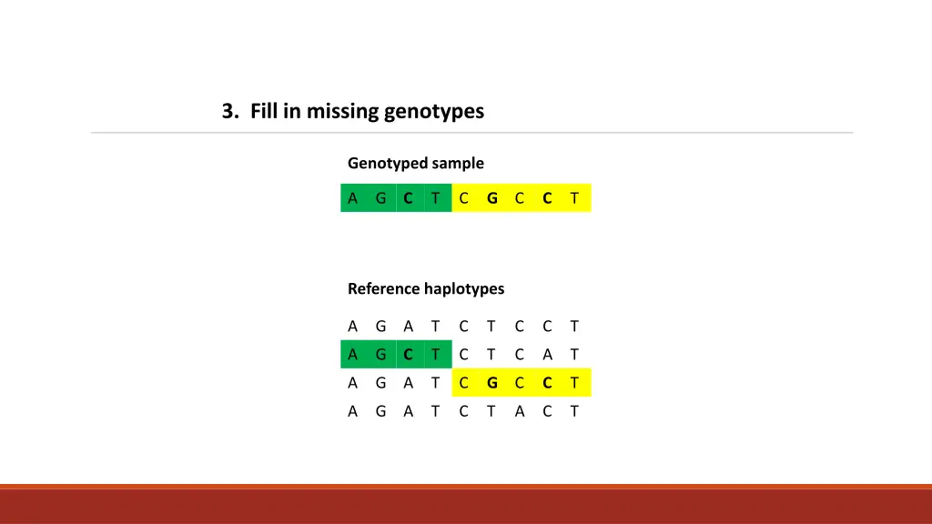 3 fill in missing genotypes