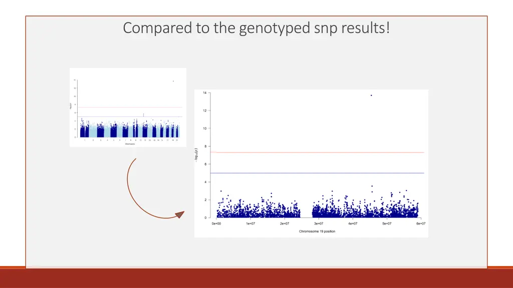 compared to the genotyped snp results