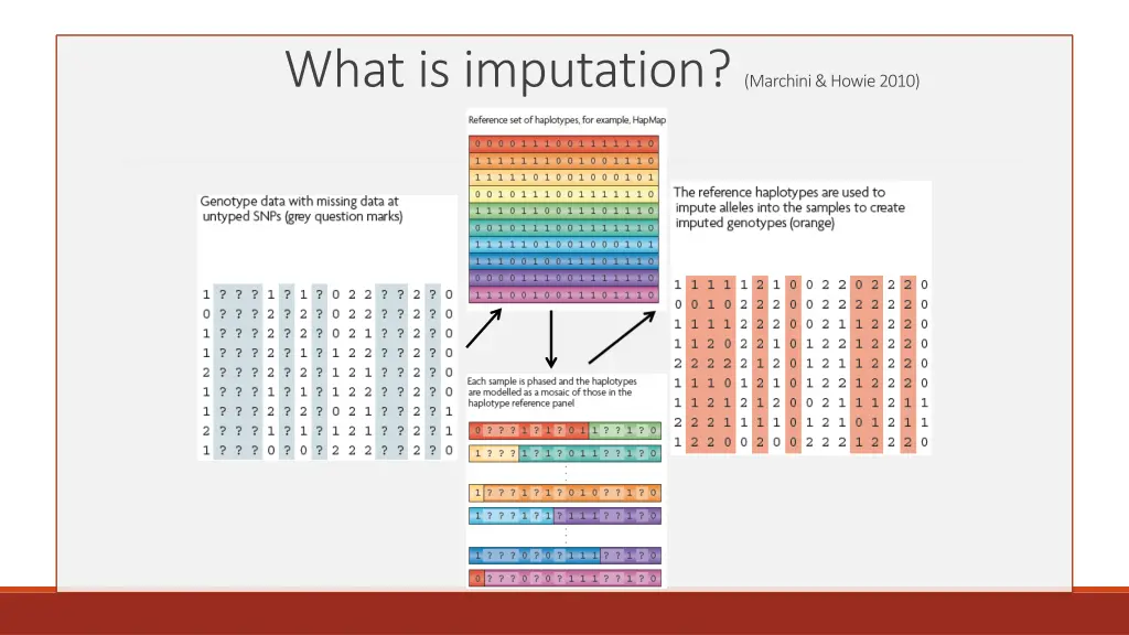 what is imputation marchini howie 2010