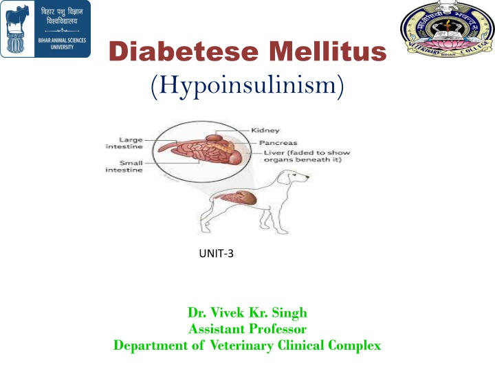 diabetese mellitus hypoinsulinism