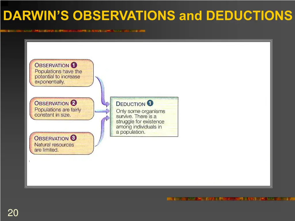 darwin s observations and deductions 3