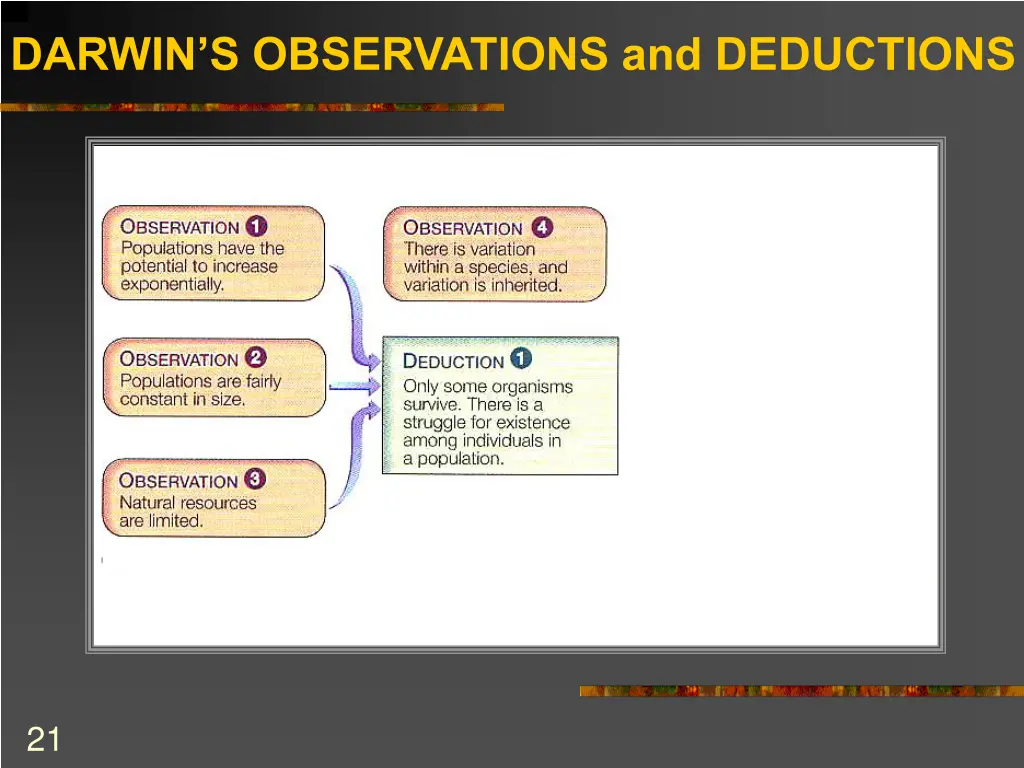 darwin s observations and deductions 4