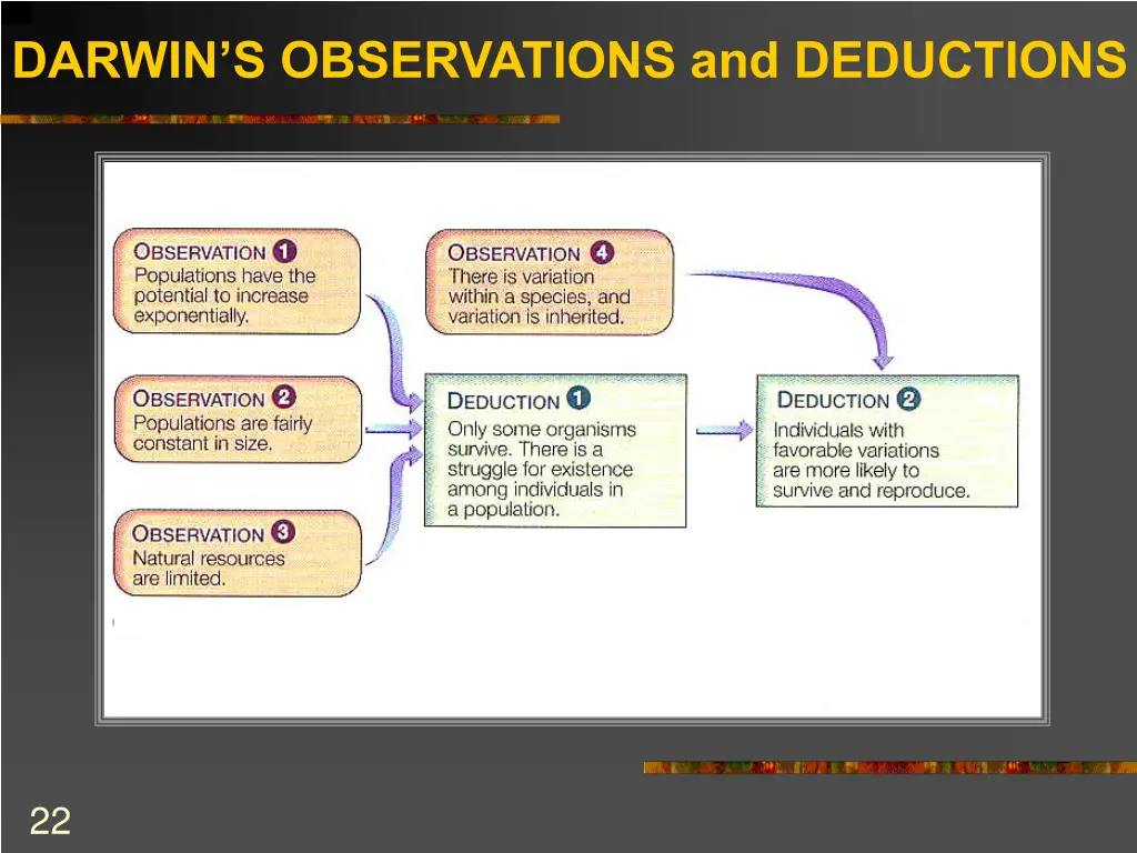 darwin s observations and deductions 5