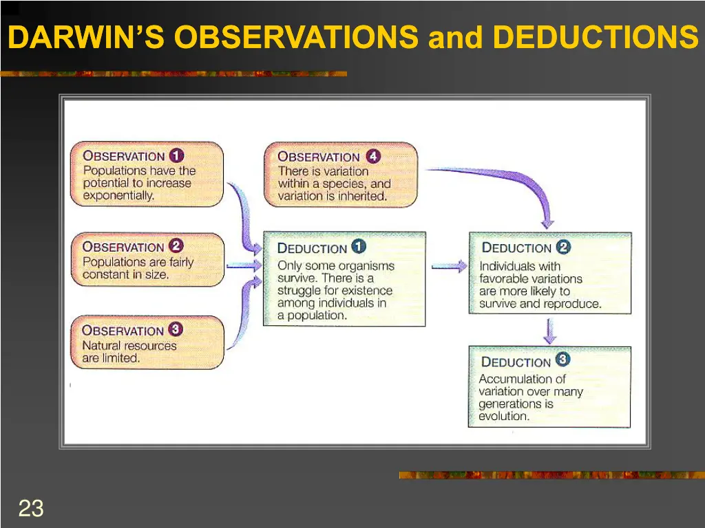 darwin s observations and deductions darwin