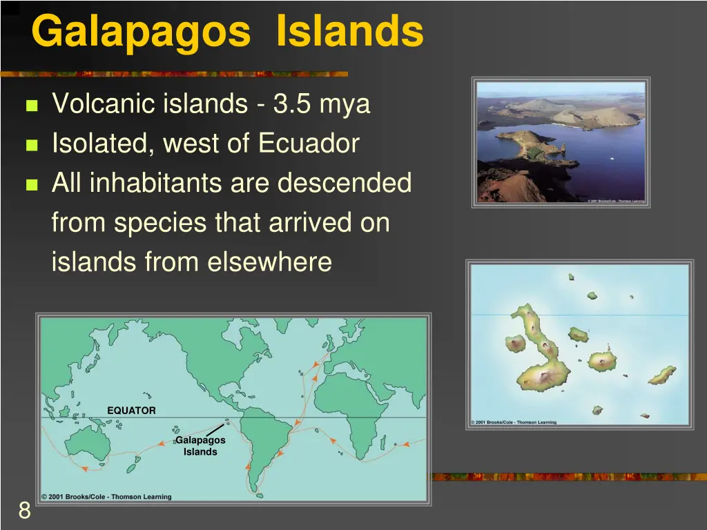 galapagos islands