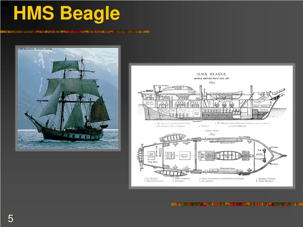 hms beagle