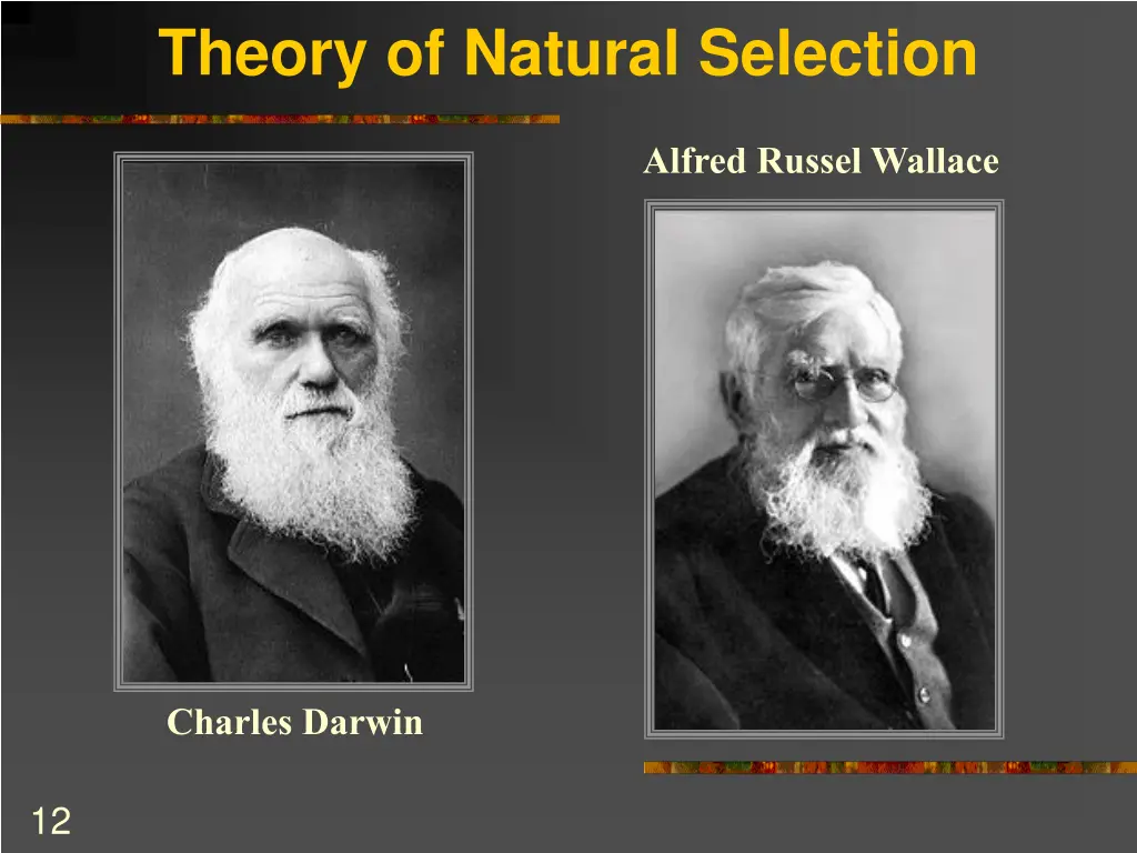 theory of natural selection