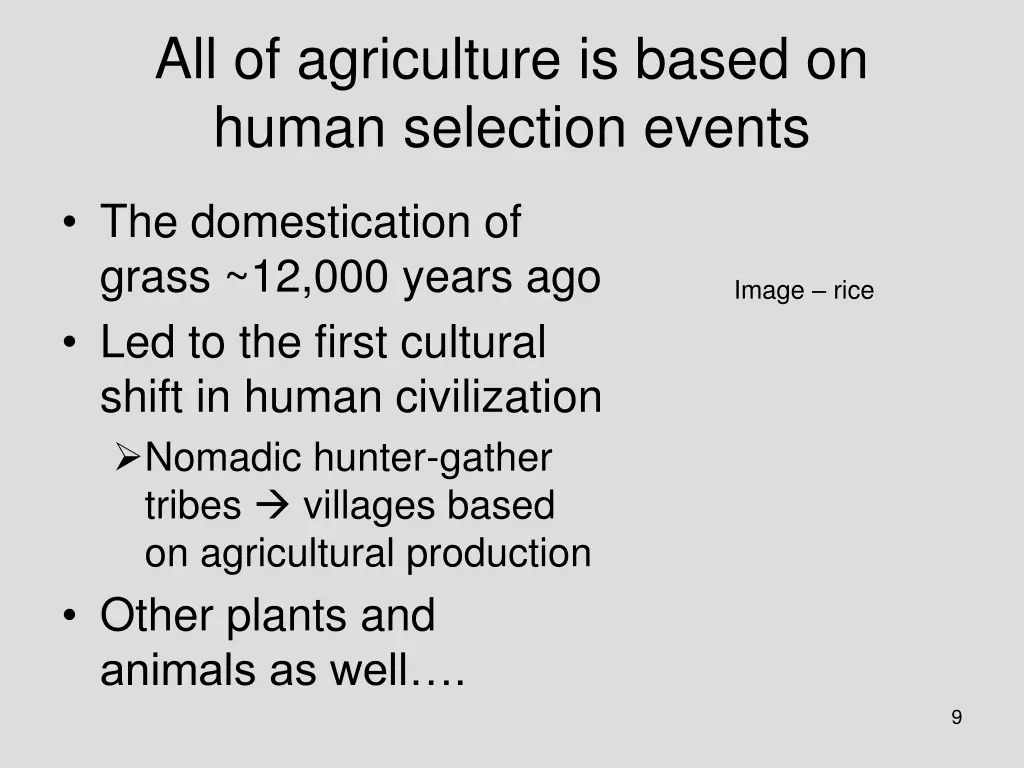 all of agriculture is based on human selection