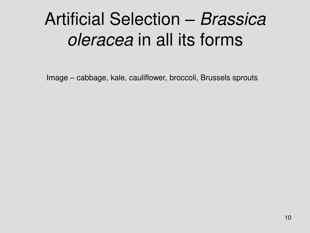 artificial selection brassica oleracea