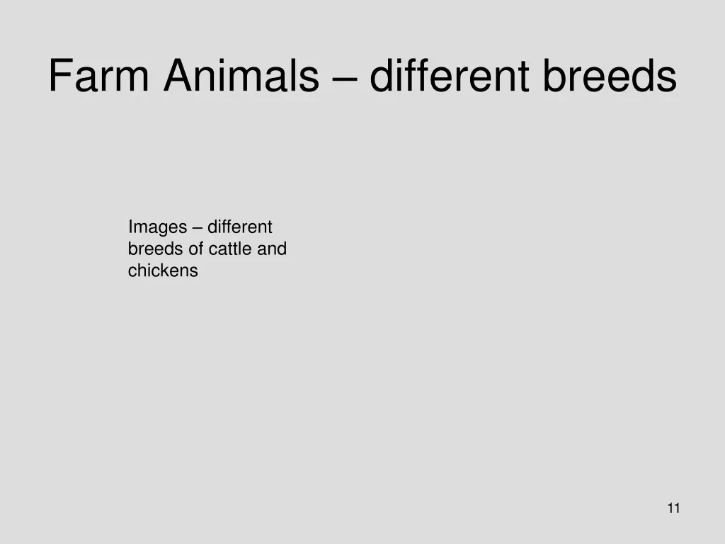 farm animals different breeds