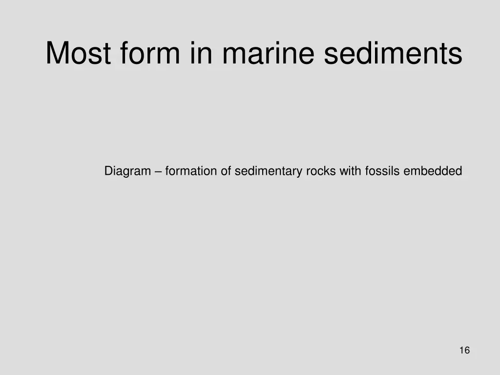 most form in marine sediments