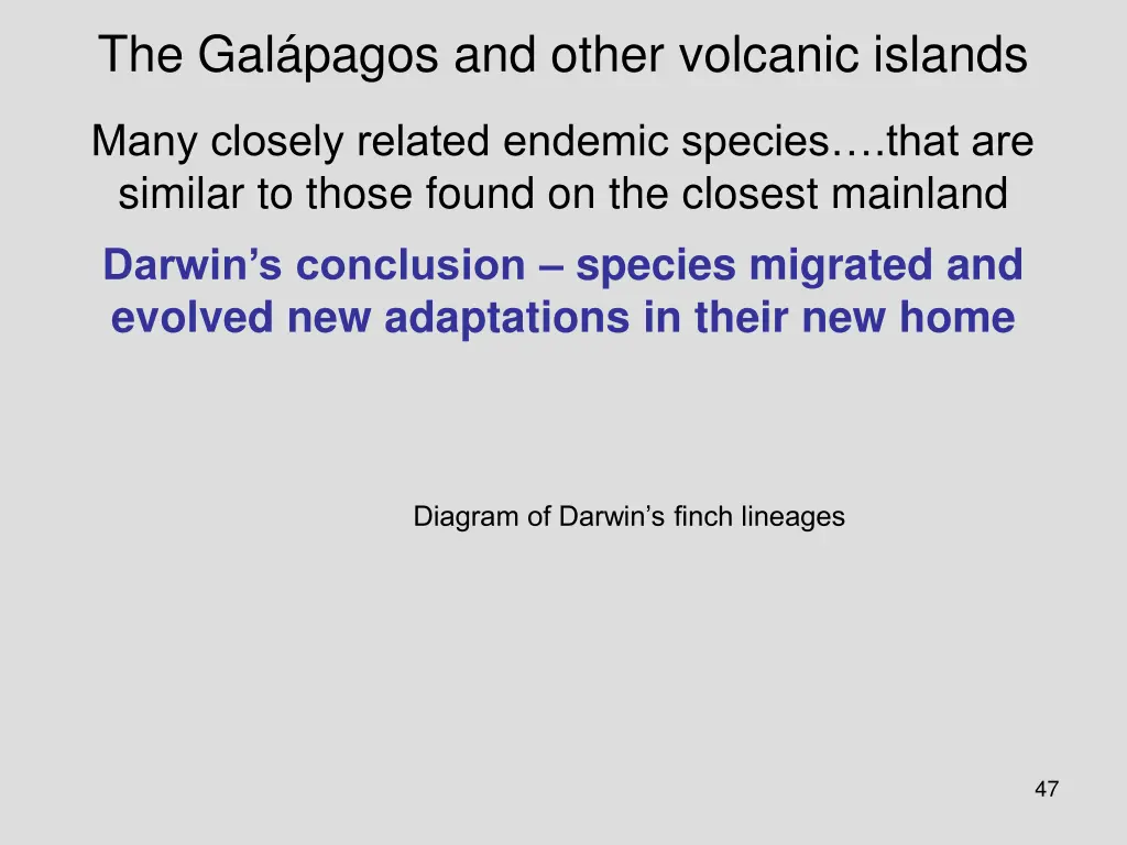 the gal pagos and other volcanic islands