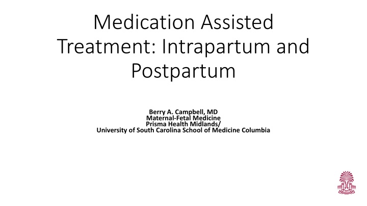 medication assisted treatment intrapartum