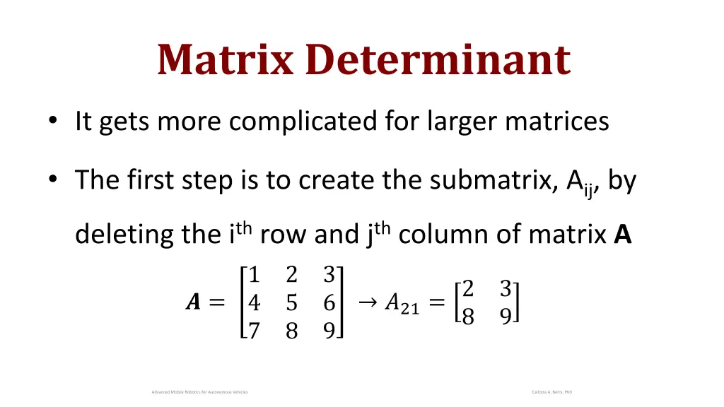 matrix determinant 2