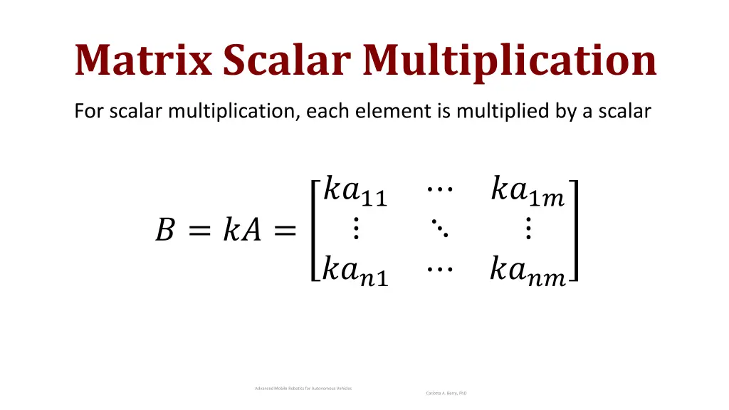 matrix scalar multiplication