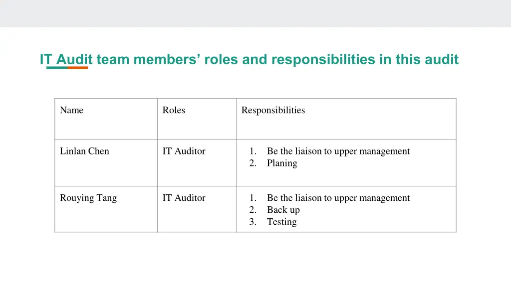 it audit team members roles and responsibilities 1