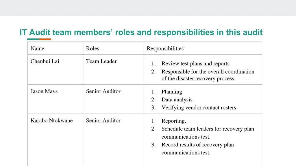 it audit team members roles and responsibilities