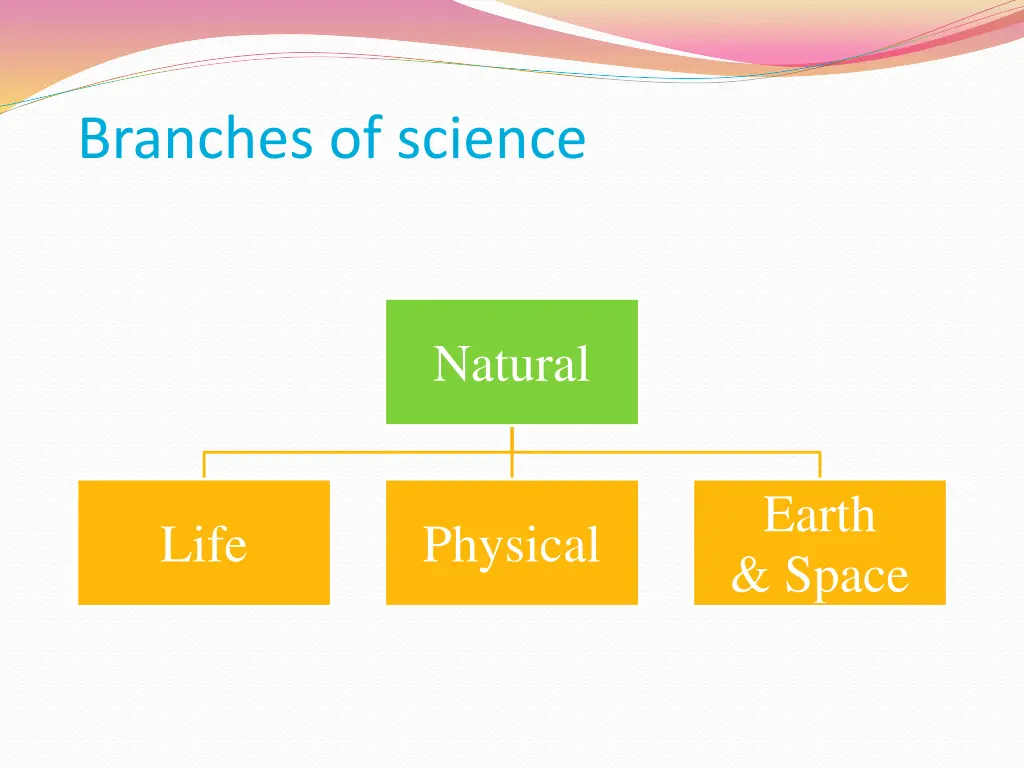 branches of science 1