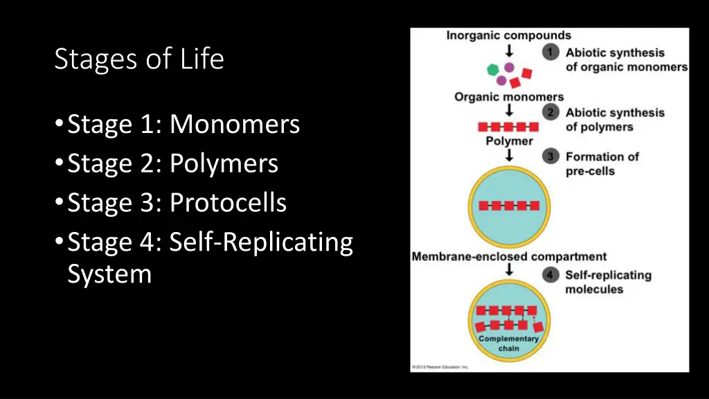 stages of life