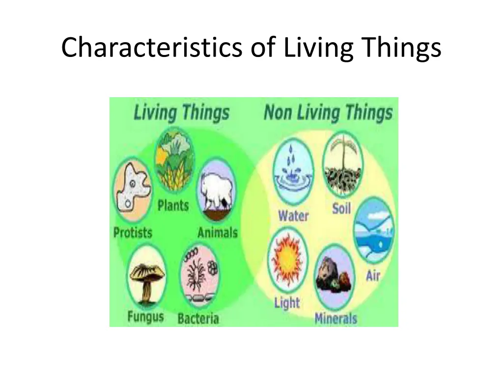 characteristics of living things