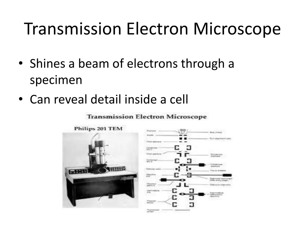 transmission electron microscope