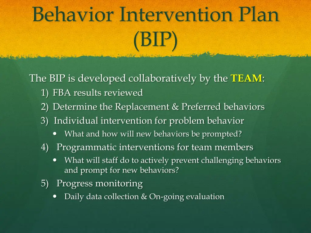 behavior intervention plan bip