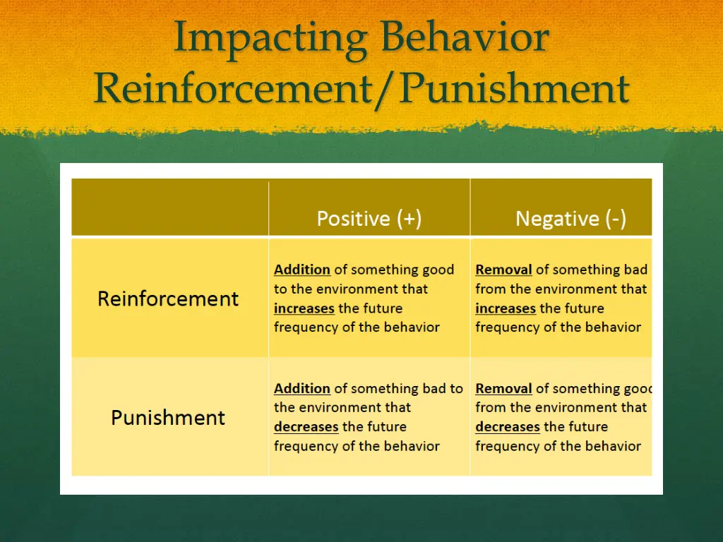 impacting behavior reinforcement punishment