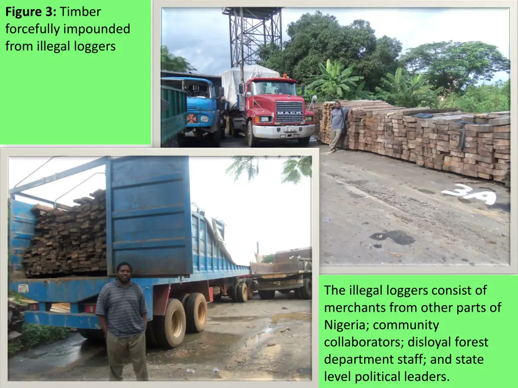 figure 3 timber forcefully impounded from illegal