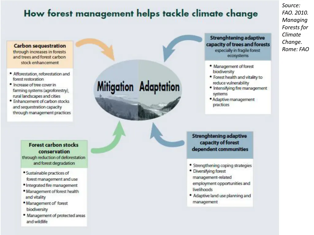 source fao 2010 managing forests for climate