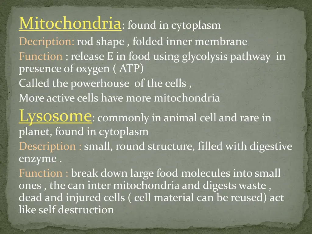 mitochondria found in cytoplasm decription